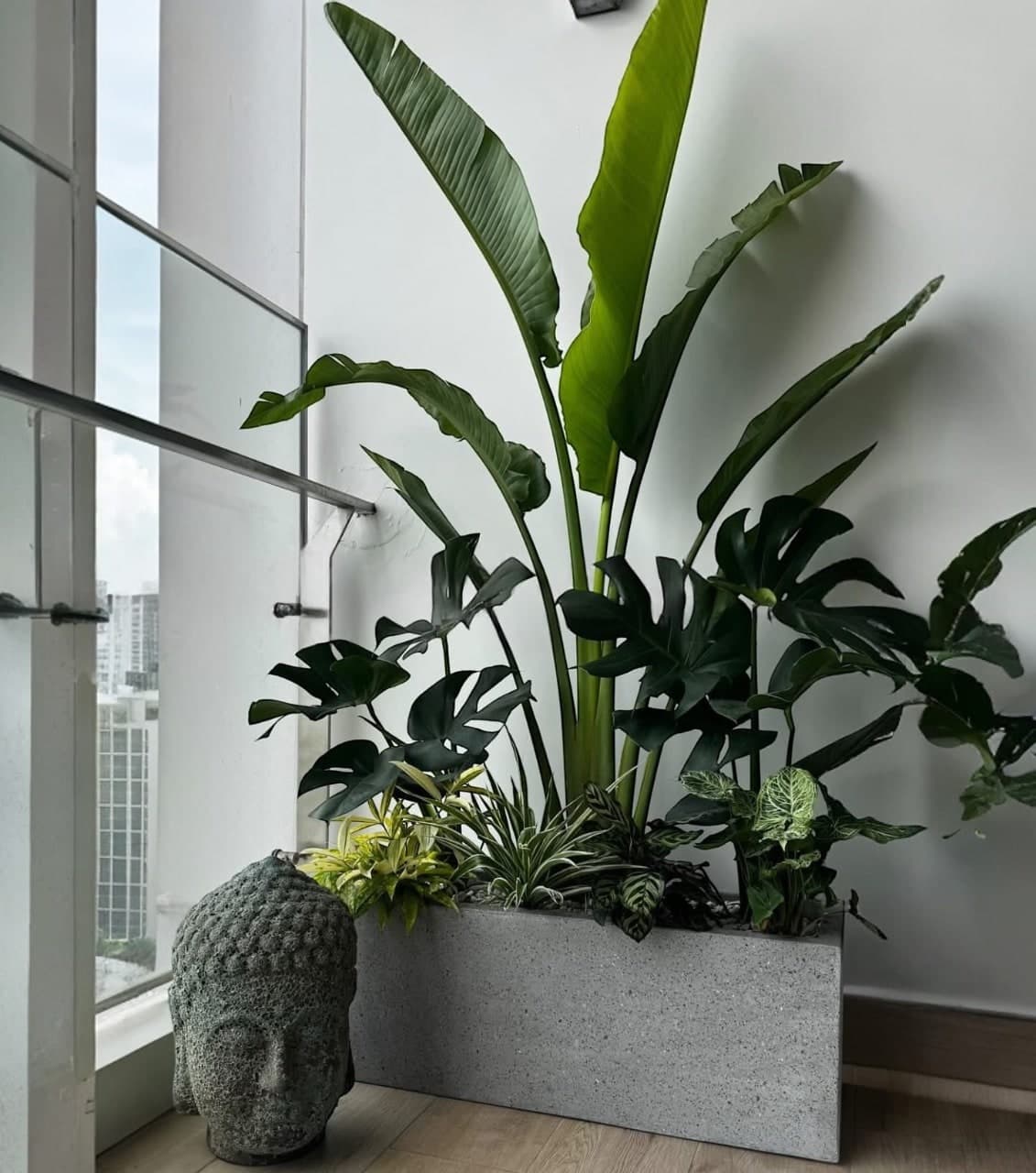 Tưới nước cho cây trong nhà đúng giờ, đúng cách – Mẹo ai cũng nên biết